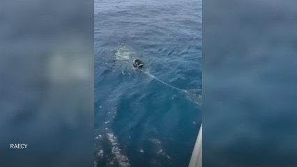 Así fue el rescate de una persona que iba a la deriva en una patera hinchable