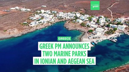 Latest news bulletin | July 21st – Midday