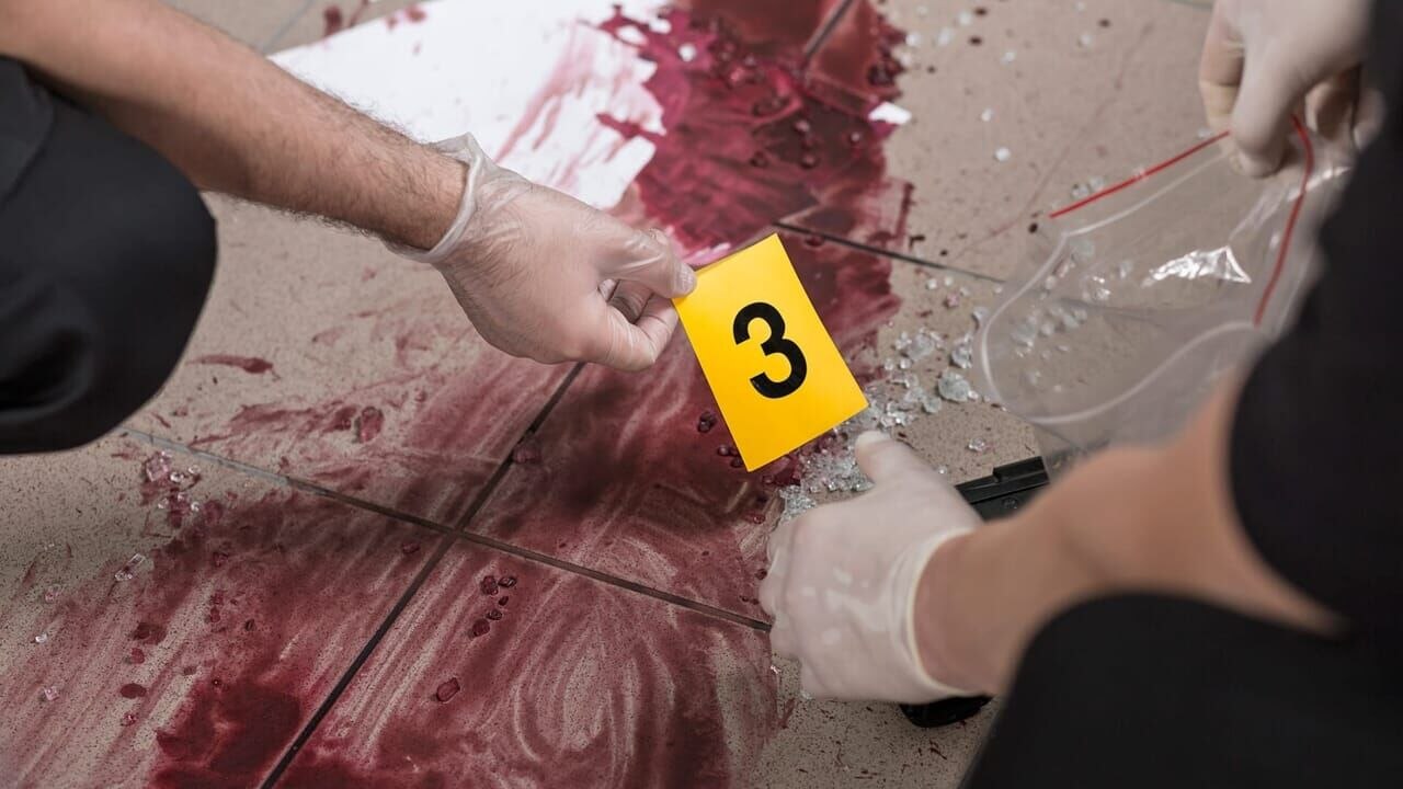Crimes