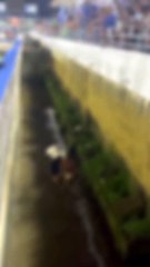 Torcedor do CSA cai em fosso do Estádio Rei Pelé