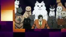 Nyaight of the Living Cat Episode 3 Review: Feline Frenzy Escalates!