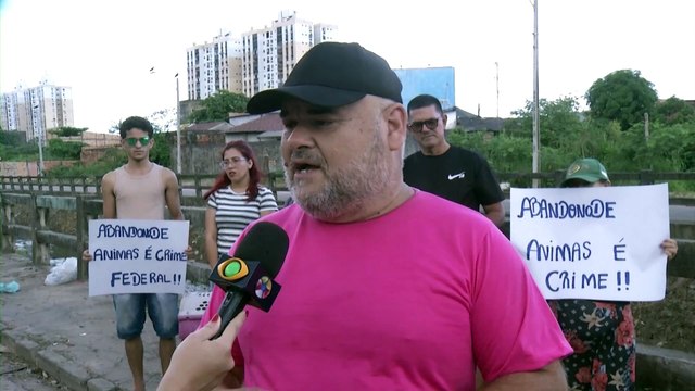 Abandono e maus-tratos de animais viram rotina em Ananindeua