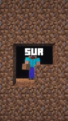 Wither JAVA vs BEDROCK 💀