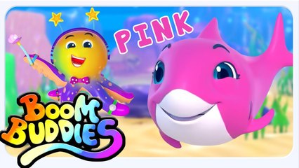 Apprends les Couleurs avec Baby Shark 🦈 | Chansons de Bébé en Français - Kids TV