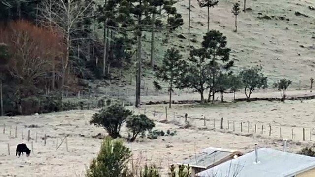 Campos cobertos de geada e temperaturas negativas marcam início de semana na Serra de SC