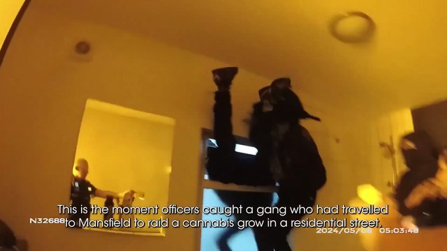 WATCH: Gang arrested after using drones to find cannabis factories to rob