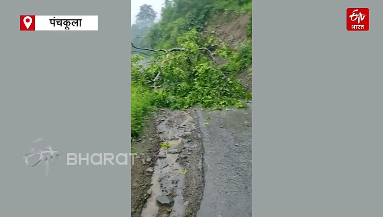 पंचकूला के मोरनी हिल्स में लैंडस्लाइड, पेड़ और मलबा सड़क पर गिरा, यात्रियों से भरी रोडवेज बस फंसी