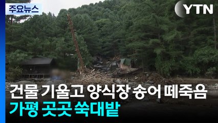 건물 기울고 양식장 물고기 떼죽음...경기 가평 곳곳 쑥대밭 / YTN