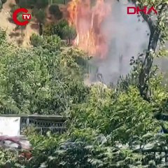 Kağıthane'de ağaçlık alanda yangın