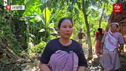 ঘৰখন পুতি পেলালে বোকা-পলসে; উদং পথাৰলৈ চাই বন্য়াৰ্তৰ হুমুনিয়াহ