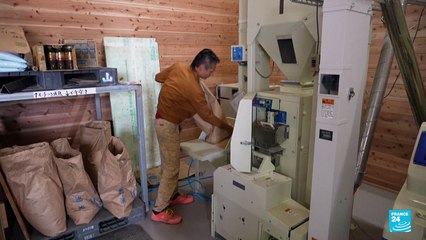 Primer ministro japonés se niega a dimitir tras perder mayoría parlamentaria en elecciones