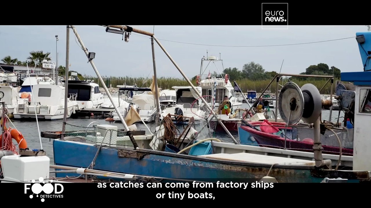 How to catch thieves on the seas: Follow the Food Detectives fighting fraud in fishing