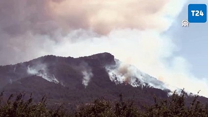 Sakarya'da çıkan orman yangınına müdahale sürüyor