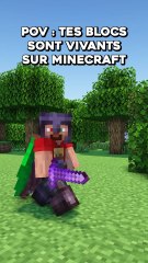 Les blocs sont vivants sur Minecraft