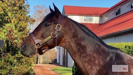 Coal Battle Owner Robbie Norman Joins TDN Writers' Room