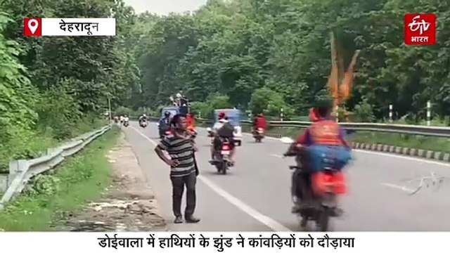 उत्तराखंड में कांवड़ियों की मूवमेंट से वन्यजीव डिस्टर्ब, वन विभाग ने तैनात की फोर्स, जगह-जगह बढ़ाई सुरक्षा