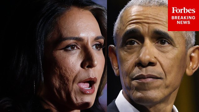 With Trump Under Scrutiny Over Epstein, Tulsi Gabbard Calls For Prosecution Of Obama-Era Officials