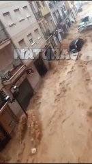 Heavy Flood Chaos – Car Struggles in Deep Water!