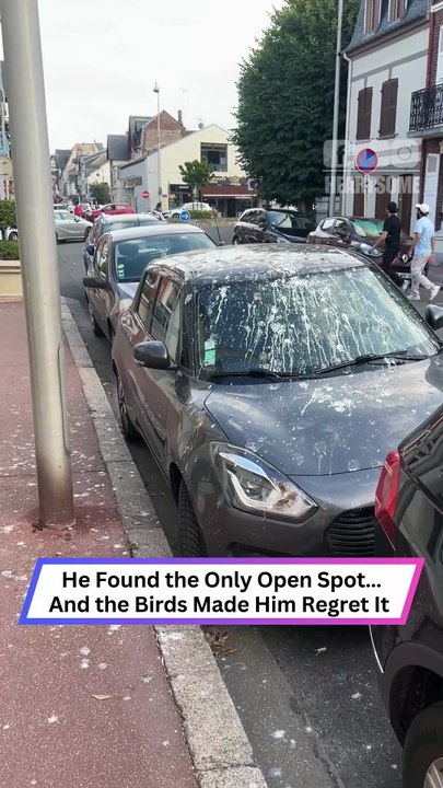 Found a Dream Parking Spot… Then THIS Happened