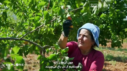 ترکیبی از تجمل سازگار با طبیعت و آرامش در بدروم