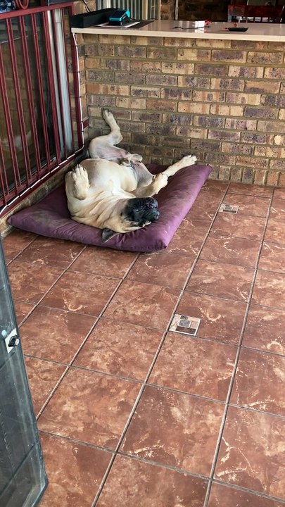 Nap Time
