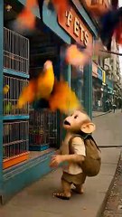 baby monkey rio birds emotional 😭 and beautiful story ❤️