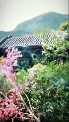 The Hidden Edge Of Grace – FULL HD MOVIE [Eng Sub]