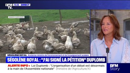 Loi Duplomb: Ségolène Royal affirme avoir signé la pétition contre cette loi "particulièrement grave"