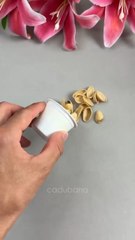 Hermosos Tulipanes con