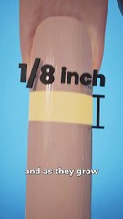 What Happens If You Never Trim Your Nails_ 🤔