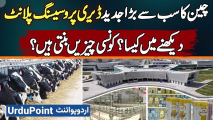 Inside China's Largest Modern Dairy Plant: Yili's Production & Products 🥛