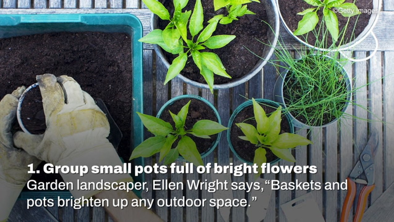 Budget Garden Ideas