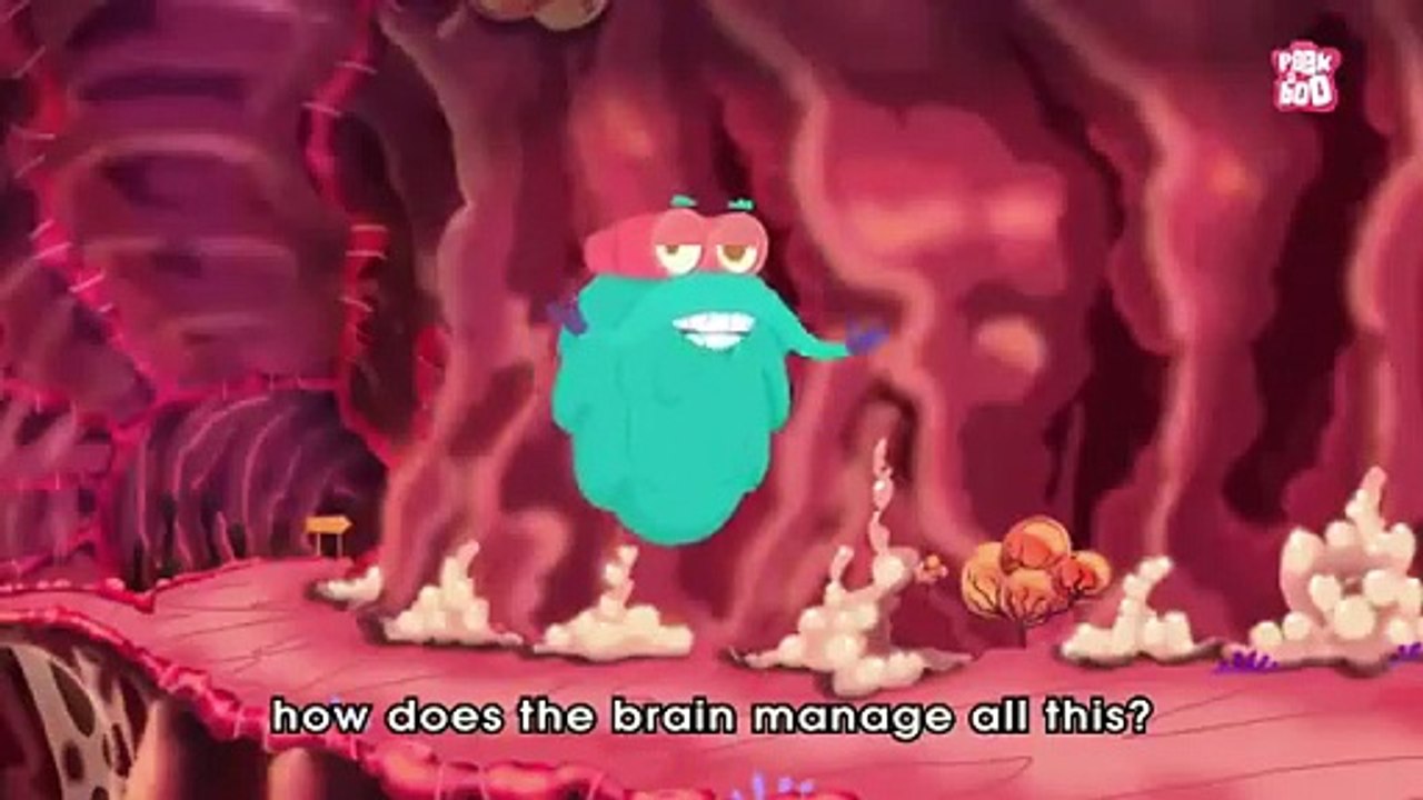 BRAIN