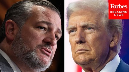 Ted Cruz Makes The Case For Three Of Trump's Top Transportation Department Nominees