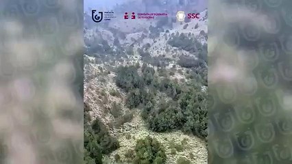 busqueda ana amelí