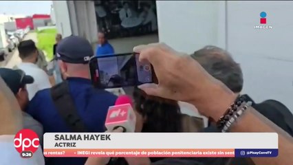 Salma Hayek y Angelina Jolie siguen en Veracruz