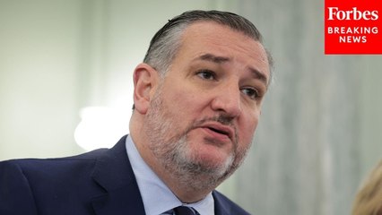 Ted Cruz Warns Of Drivers With 'Fraudulently-Issued' Mexican Driver's Licenses Are Now On U.S. Roads