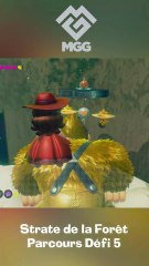 Graines dans la Fosse Donkey Kong Bananza : Parcours Défi 5 Strate de la Forêt