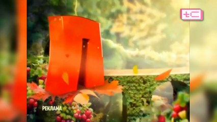 История рекламных заставок телеканалов "Fox Kids" / "Jetix" / "Канал Disney" / "Солнце" (Регресс)