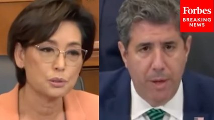 Young Kim Presses State Official On Elimination Of Department's Energy Bureau Amid Growing Demand For AI