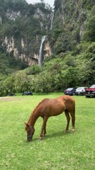 La Pequeña Suiza de México: Naturaleza de Ensueño en Puebla