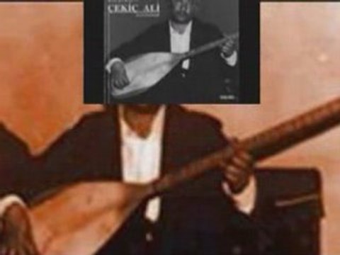 ÇEKİÇ ALİ-SARI YAZMA