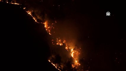 Sakarya'da orman yangınıyla mücadele sürüyor