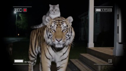 Unbelievable Moment Caught on Camera at Home