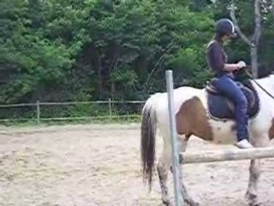 Mai 2008 014
