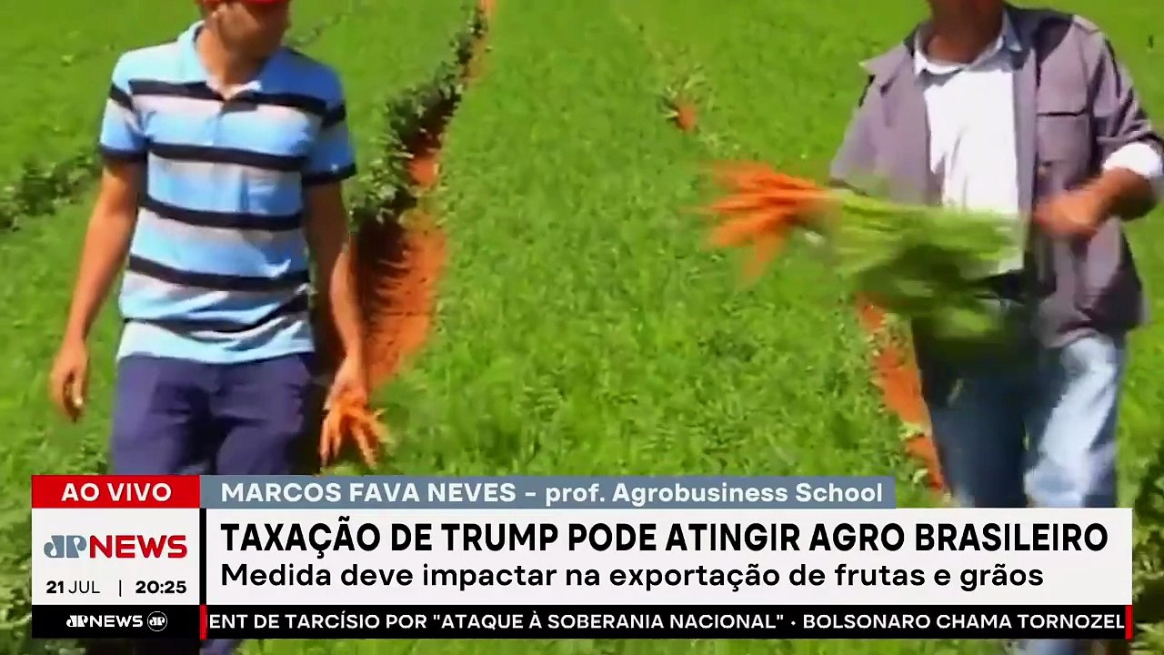 Como o tarifaço de Trump pode afetar o setor produtivo brasileiro? Marcos Fava Neves analisa
