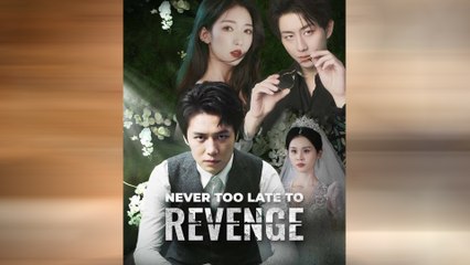 Never Too Late To Revenge (DUBBED) Full Movie