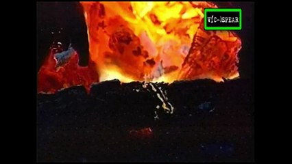 Enciclopedia de Animales: La Salamandra Inmortal - Documental (1996) - Español Latino