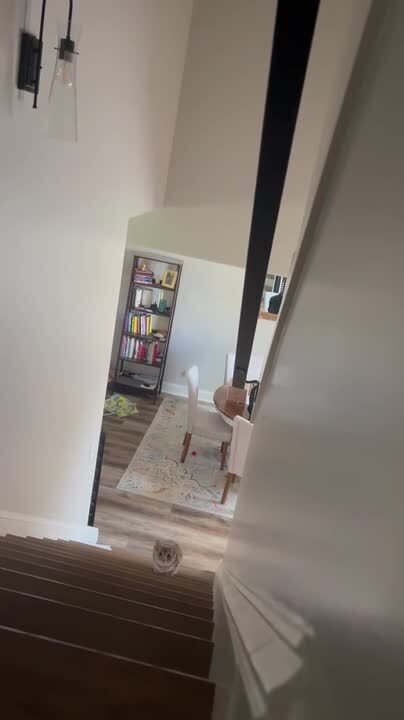 Cat Sneakily Walks up Stairs While Playing Hide-and-Seek With Owner