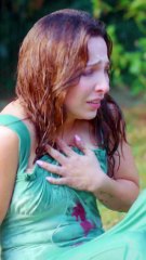 Moon Wolfs Real Alpha